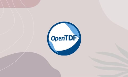 Privacy, Period: Leveraging OpenTDF to Safeguard Health Data